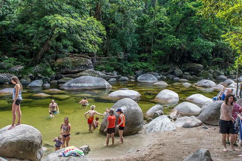Cape Tribulation, Mossman Gorge, And Daintree Rainforest Day Trip From Cairns Or Port Douglas - Gold Coast Attractions 1