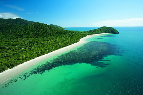 Cape Tribulation, Mossman Gorge, And Daintree Rainforest Day Trip From Cairns Or Port Douglas - Gold Coast Attractions 2