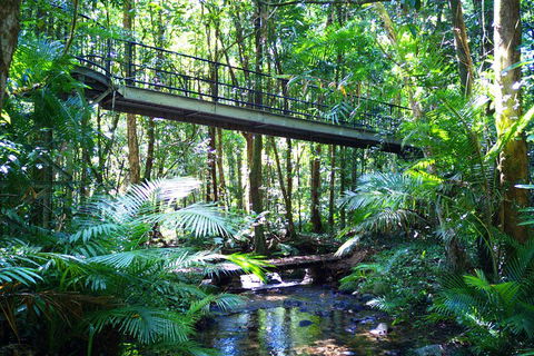 Cape Tribulation, Mossman Gorge, And Daintree Rainforest Day Trip From Cairns Or Port Douglas - Gold Coast Attractions 3