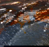 One Day Litchfield Park Adventures - Gold Coast Attractions