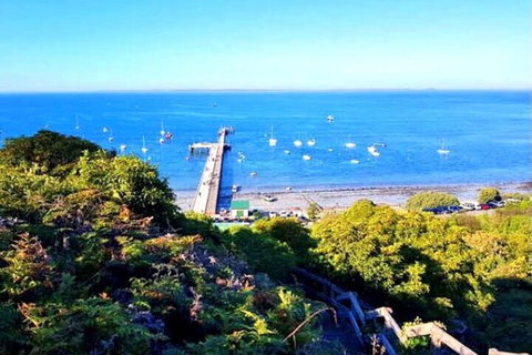 Mornington Peninsula Sightseeing Tour For 2-6 Guests. - Gold Coast Attractions 1