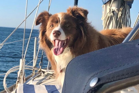 Mornington Peninsula Sightseeing Tour For 2-6 Guests. - Gold Coast Attractions 2