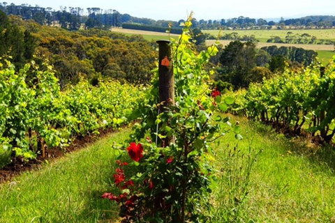 Mornington Peninsula Sightseeing Tour For 2-6 Guests. - Gold Coast Attractions 3