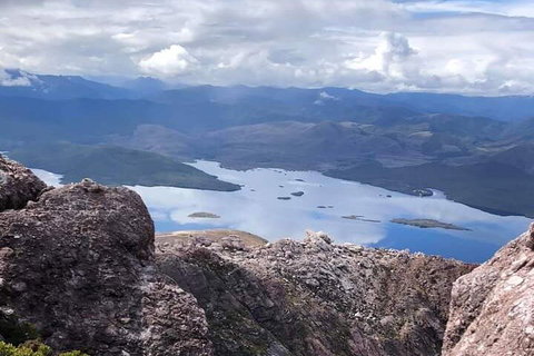 Tamar Valley Food And Wine Day Trip From Devonport, Ulverstone Or Burnie - Gold Coast Attractions 3