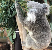 Private Blue Mountains and Wildlife Park Tour from Sydney with Barbecue Lunch - Gold Coast Attractions
