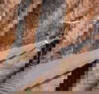 Chillagoe Caves and Outback Day Trip from Cairns - Gold Coast Attractions