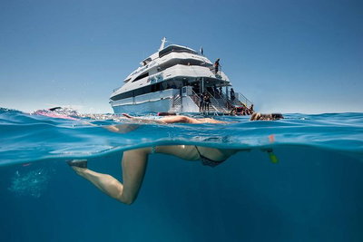 3 Day Great Barrier Reef Daintree Rainforest and Outback Chillagoe Tour