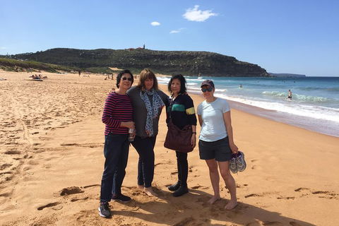 Small-Group Sydney's Northern Beaches And Ku-ring-gai National Park Bus Tour - Gold Coast Attractions 2