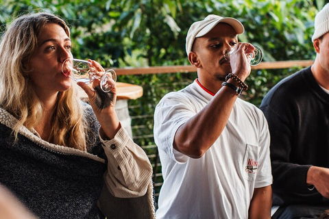 Full-Day Tour To Byron Bay Best Food And Drink Spots - Gold Coast Attractions 1