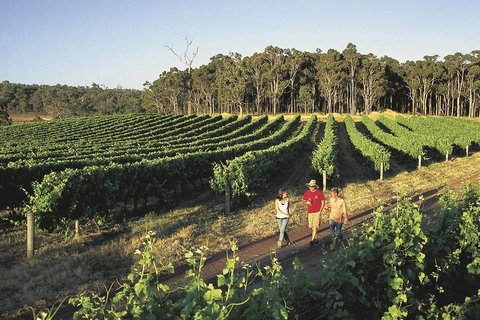 Margaret River, Caves, Wine And Cape Leeuwin Lighthouse Tour From Perth - Gold Coast Attractions 1