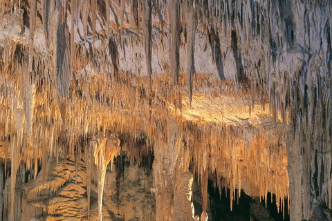 Margaret River, Caves, Wine And Cape Leeuwin Lighthouse Tour From Perth - Gold Coast Attractions 3