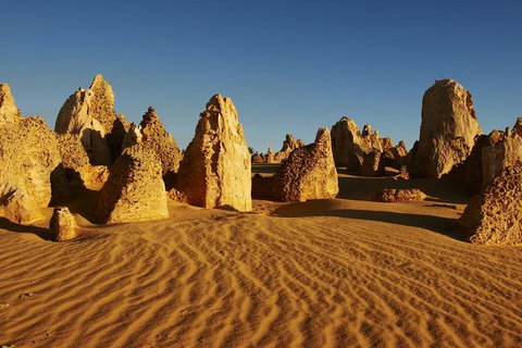 Full Day Pinnacle Desert Explorer From Perth Including Hillarys And Lancelin Sandboarding - Gold Coast Attractions 3