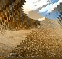 Wave Rock York Wildflowers and Aboriginal Cultural Day Tour from Perth - Gold Coast Attractions