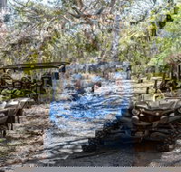 Small-Group Buggy Tour at Little Sahara with Guide - Gold Coast Attractions