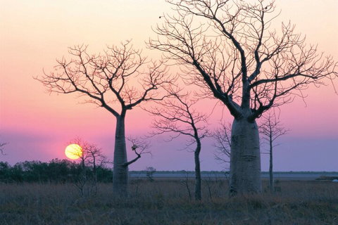 8-Day Outback Experience From Queensland - Gold Coast Attractions 5