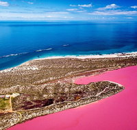 Pink Lake Small-Group Buggy Tour - Gold Coast Attractions