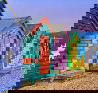 Phillip Island Penguin Brighton Beach Moonlit Sanctuary from Melbourne - Gold Coast Attractions