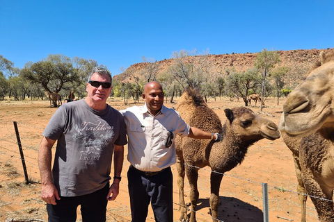West MacDonnell Ranges Half-Day Small-Group Tour With Camel Ride - Gold Coast Attractions 1