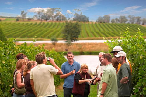 Yarra Valley Wine And Winery Tour From Melbourne - Gold Coast Attractions 0