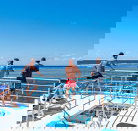 Calypso Outer Great Barrier Reef Cruise from Port Douglas - Gold Coast Attractions