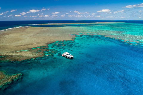 Calypso Outer Great Barrier Reef Cruise From Port Douglas - Gold Coast Attractions 1