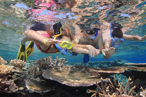 Calypso Outer Great Barrier Reef Cruise From Port Douglas - Gold Coast Attractions 3