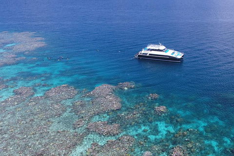 Calypso Outer Great Barrier Reef Cruise From Port Douglas - Gold Coast Attractions 4