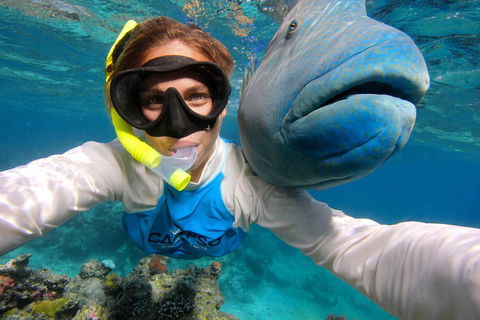 Calypso Outer Great Barrier Reef Cruise From Port Douglas - Gold Coast Attractions 5