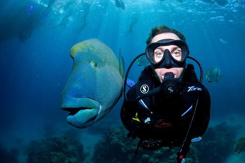 Full Day Reef Cruise Including 10 Minute Heli Scenic Flight: Get High Package - Gold Coast Attractions 1