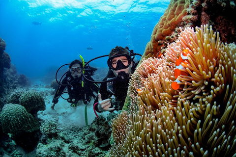 Full Day Reef Cruise Including 10 Minute Heli Scenic Flight: Get High Package - Gold Coast Attractions 5