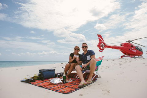 Private Helicopter Tour: Reef Island Snorkeling And Gourmet Picnic Lunch - Gold Coast Attractions 1