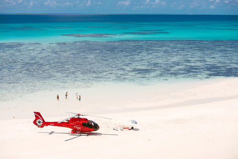 Private Helicopter Tour: Reef Island Snorkeling And Gourmet Picnic Lunch - Gold Coast Attractions 2