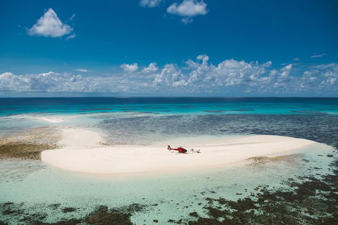 Private Helicopter Tour: Reef Island Snorkeling And Gourmet Picnic Lunch - Gold Coast Attractions 4