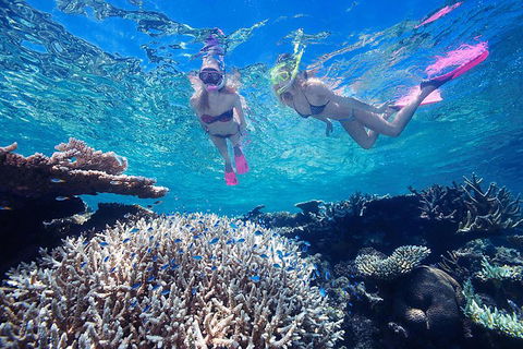 Great Barrier Reef Scenic Helicopter Tour And Cruise From Cairns - Gold Coast Attractions 3