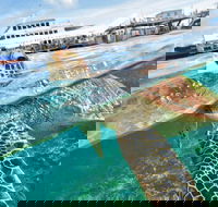 Scenic Helicopter Flight to Moore Reef and Return Snorkeling Cruise from Cairns - Gold Coast Attractions