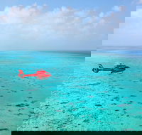 Port Douglas Scenic Flights - Gold Coast Attractions