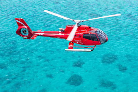 Port Douglas Scenic Flights - Gold Coast Attractions 2