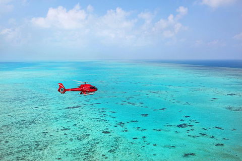 Port Douglas - Cruise And 10 Minute Scenic Flight - Gold Coast Attractions 1