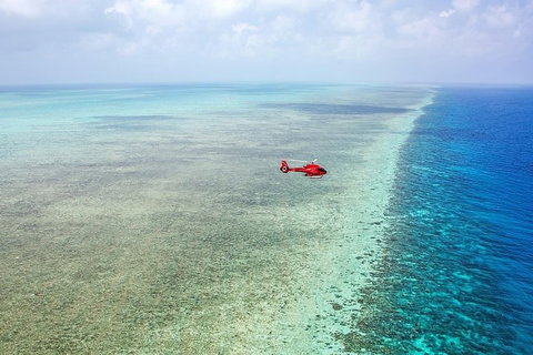 Great Barrier Reef 30-Minute Scenic Helicopter Tour From Cairns - Gold Coast Attractions 5