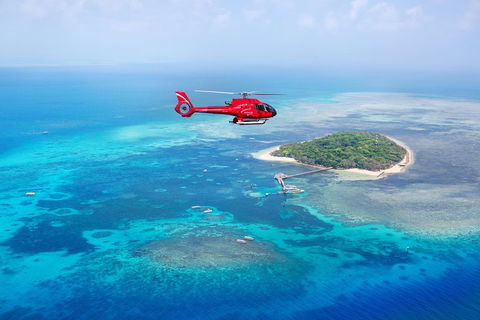 Ultimate Great Barrier Reef And Rainforest 45-minute Helicopter Tour - Gold Coast Attractions 4