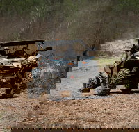 Octopussy 1.5 hour off-road tour in Darwin 1 person in 2 seater - Gold Coast Attractions