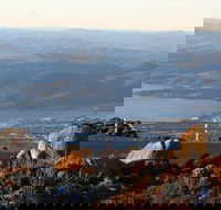 Mt. Wellington Bonorong and Richmond Day Tour from Hobart