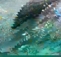 2-Day Moreton Island 4WD Camping Tour from Brisbane - Gold Coast Attractions