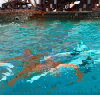 Moreton Island Snorkel and Sandboarding 4WD Day Trip from Brisbane - Gold Coast Attractions