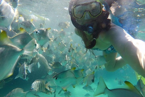 Moreton Island Snorkel And Sandboarding 4WD Day Trip From Brisbane - Gold Coast Attractions 3