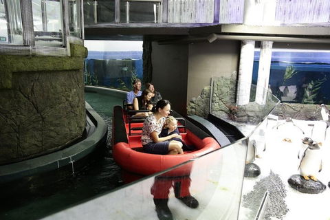 Sydney Attractions Pass: SEA LIFE Aquarium, Sydney Tower Eye, WILD LIFE Zoo And Madame Tussauds - Gold Coast Attractions 0