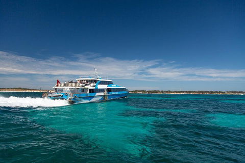 Rottnest Island All-Inclusive Grand Island Tour From Fremantle - Gold Coast Attractions 3