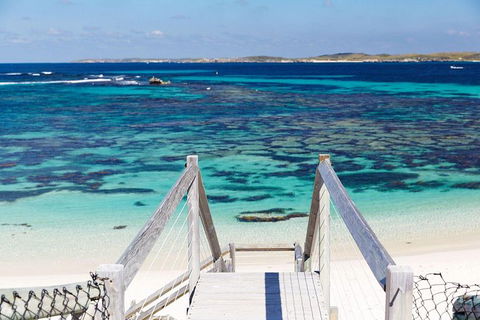 Rottnest Island All-Inclusive Grand Island Tour From Fremantle - Gold Coast Attractions 4