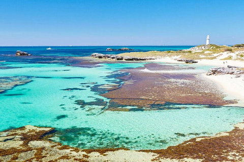 Rottnest Island Bayseeker Day Trip From Perth - Gold Coast Attractions 4