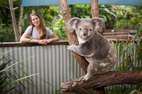 Hartley's Crocodile Adventures Day Trip From Palm Cove - Gold Coast Attractions 5